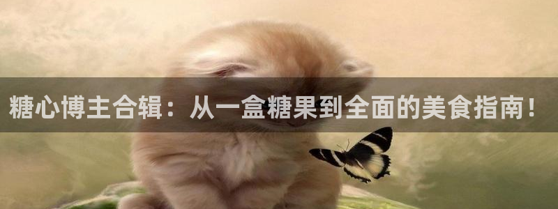 糖心vlog着迷:糖心博主合辑:从一盒糖