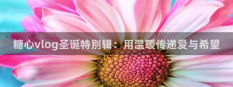 糖 心vlog演员:糖心vlog圣诞特别