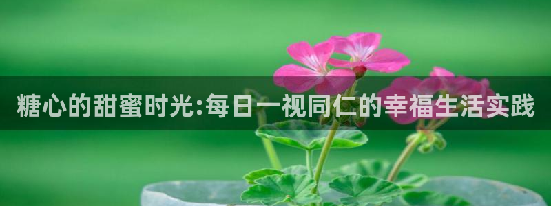 糖心vlog在线晚晚:糖心的甜蜜时光:每