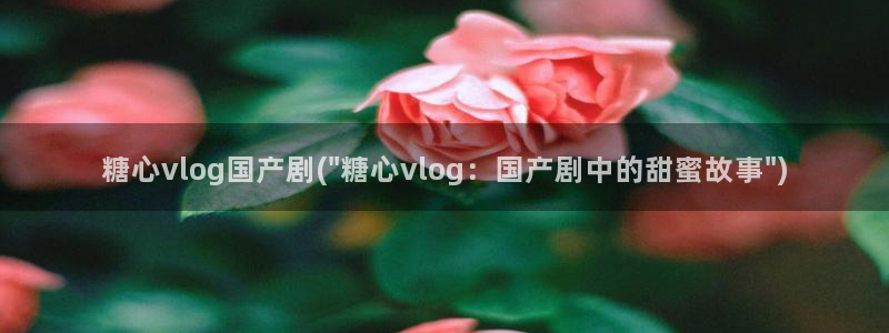 糖心vlog排名:糖心vlog国产剧(\