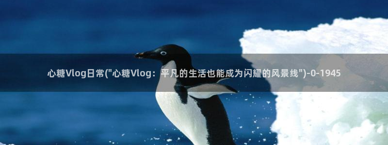 糖心vlog西施小晗:心糖Vlog日常(