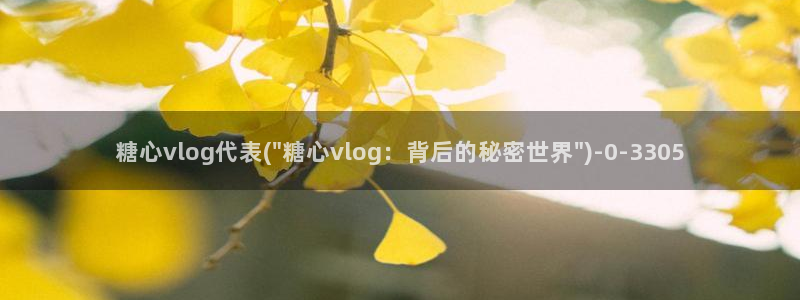 糖心vlog主播介绍:糖心vlog代表(